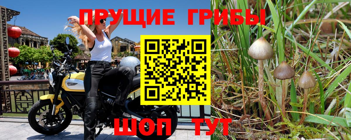 Псилоцибиновые грибы мухоморы  Вход с VPN  Приморско-Ахтарск 